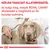 KÉRJEN TANÁCSOT ÁLLATORVOSÁTÓL és tudja meg, melyik ROYAL CANIN állateledel a megfelelő az Ön kutyája számára. Állatorvos sztetoszkóppal vizsgál egy kutyát.