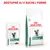 ROYAL CANIN Satiety Weight Management pre mačky, mokré a suché balenie. Text hore: Dostupné aj v suchej forme.