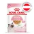 ROYAL CANIN Kitten bis 12 Monate, 85g, in Gelee, ohne Konservierungsstoffe, hergestellt in Österreich.