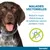Seresto – Maladies vectorielles : réduit le risque d’ehrlichiose et de babésiose canines pendant 7 mois. Chien portant un collier, pictogramme tique barrée.