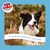 British Family Company. A recipe formulated for adult dogs.
