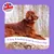 A tasty and healthy recipe for mature dogs. British family company.