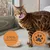 thrive Complete Saver Pack 24 x 75g - cat wet food - Chicken Breast & Turkey thrive Complete Saver Pack 24 x 75g - cat wet food - Chicken Breast & Turkey