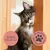 thrive PremiumPlus Dry Cat Food - Salmon & Herring - Economy Pack: 2 x 1.5kg thrive PremiumPlus Dry Cat Food - Salmon & Herring - Economy Pack: 2 x 1.5kg
