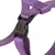 Boucle en plastique noir avec inscription TRIXIE sur sangle en nylon violet, détail d’un harnais ou collier pour animal