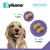 Zylkene Calming Chews for Large Dogs 30 - 60 kg - 14 Chews Zylkene Calming Chews for Large Dogs 30 - 60 kg - 14 Chews