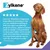 Zylkene Calming Chews for Large Dogs 30 - 60 kg - 14 Chews Zylkene Calming Chews for Large Dogs 30 - 60 kg - 14 Chews