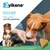 Zylkene Calming Chews for Medium Dogs 10 - 30 kg - 14 Chews Zylkene Calming Chews for Medium Dogs 10 - 30 kg - 14 Chews
