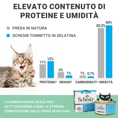 Schesir in Gelatina 24 x 85 g