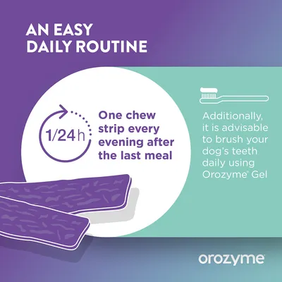 Give a chew snack every evening after the last meal. It is also recommended to brush your pet's teeth daily with Orozyme Gel. Give a chew snack every evening after the last meal. It is also recommended to brush your pet's teeth daily with Orozyme Gel.