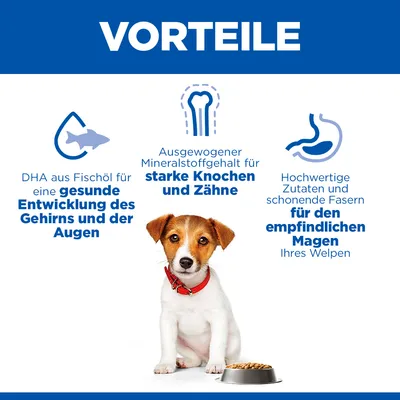 Vorteile: DHA aus Fischöl für gesunde Entwicklung des Gehirns und der Augen, Mineralstoffgehalt für starke Knochen und Zähne, Zutaten für empfindlichen Magen Ihres Welpen.