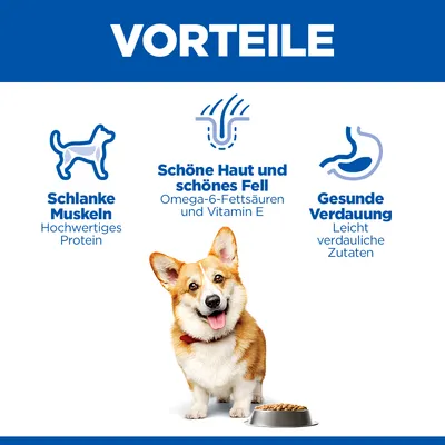 Vorteile: Schlanke Muskeln durch hochwertiges Protein, schöne Haut und Fell mit Omega-6-Fettsäuren und Vitamin E, gesunde Verdauung durch leicht verdauliche Zutaten.