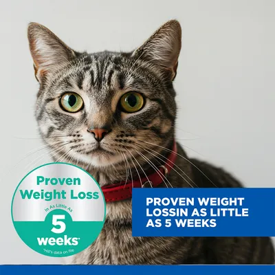 Hill's Science Plan Perfect Weight Adult 1+ Chicken