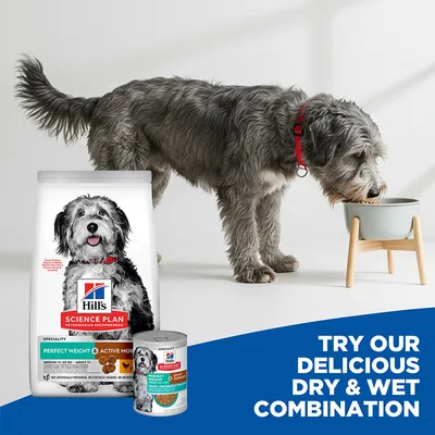 Hill's Science Plan Perfect Weight & Active Mobility Adult 1+ Medium with Chicken