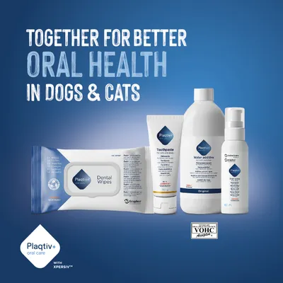 Plaqitv+ Dental Wipes, Toothpaste, Water Additive and Oral Spray for dogs and cats. Text: Together for better oral health in dogs & cats. VOHC Accepted seal visible. Plaqitv+ Dental Wipes, Toothpaste, Water Additive and Oral Spray for dogs and cats. Text: Together for better oral health in dogs & cats. VOHC Accepted seal visible.