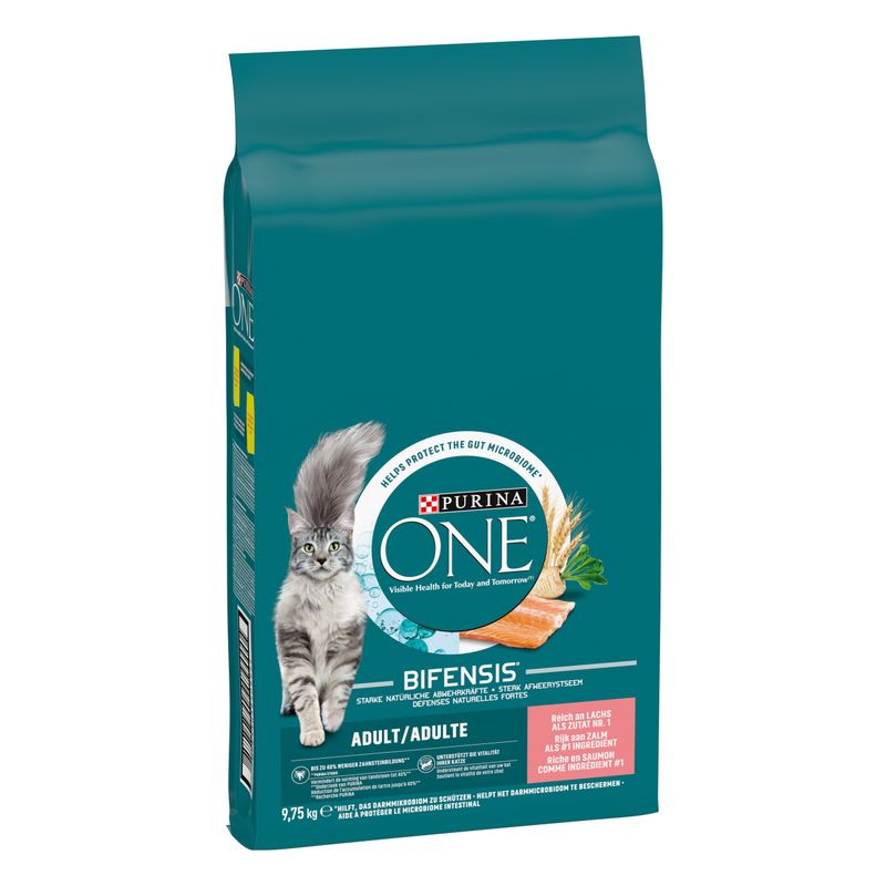 PURINA ONE Adult Salmone & Cereali integrali Crocchette per gatti