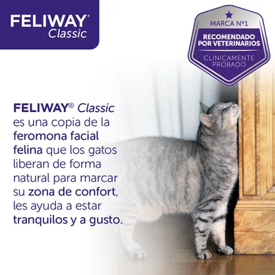 FELIWAY Classic es una copia de la feromona facial felina que los gatos liberan para marcar su zona de confort y estar tranquilos. Recomendado por veterinarios, clínicamente probado.