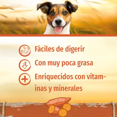 Fáciles de digerir. Con muy poca grasa. Enriquecidos con vitaminas y minerales.