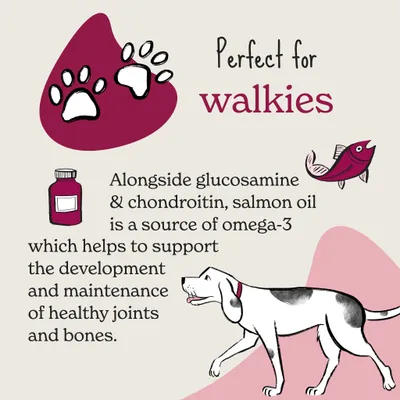 Text: Perfect for walkies. Alongside glucosamine and chondroitin, salmon oil is a source of omega-3 which helps support healthy joints and bones development and maintenance.