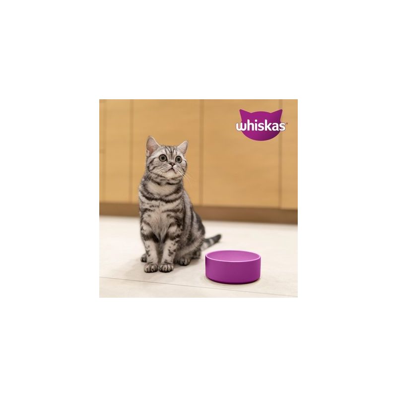 Whiskas 1+ Rund