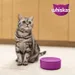 Whiskas 1+ Rund