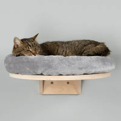 Chat allongé sur un lit mural rond en bois avec coussin gris, fixé au mur. Coussin en tissu doux, support en bois clair visible sous le lit.
