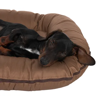 Braunes Hundebett mit einem liegenden Hund. Zeigt die Grösse und Polsterung des Bettes.