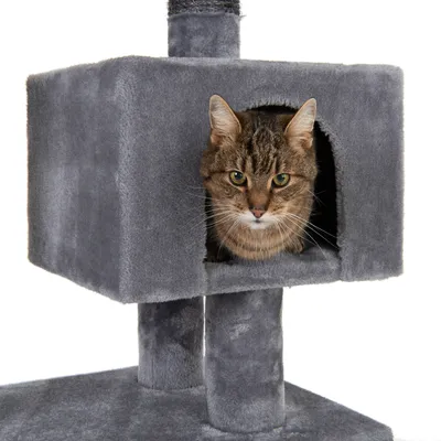 Grauer Kratzbaum mit quadratischer Höhle, in der eine Katze sitzt. Zwei gepolsterte Säulen stützen die Höhle.