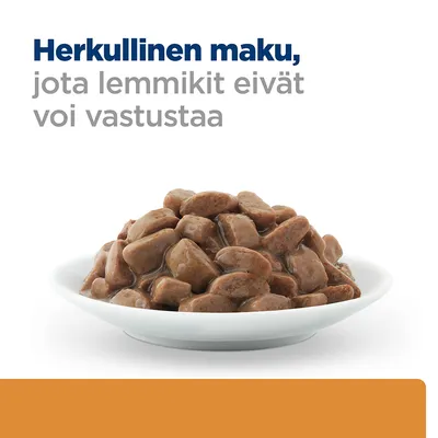 Herkullinen maku, jota lemmikit eivät voi vastustaa. Valkoisella lautasella ruskeita kastikkeessa olevia paloja.