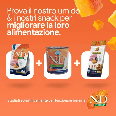 Prova il nostro alimento umido e i nostri snack, per migliorare la loro alimentazione. Sviluppati scientificamente per agire insieme. Prodotti N&D Pumpkin raffigurati.