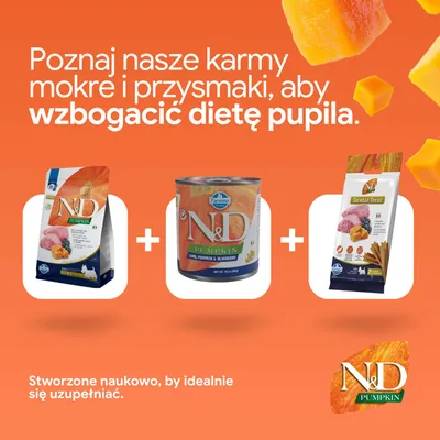 N&D Pumpkin karma sucha, karma mokra i przysmaki dentystyczne. Opracowane naukowo dla optymalnej suplementacji żywienia. N&D Pumpkin karma sucha, karma mokra i przysmaki dentystyczne. Opracowane naukowo dla optymalnej suplementacji żywienia.