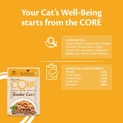 Product image showing ingredients: chicken broth, chicken 25%, chicken liver 6%, potato starch, eggs, carrots 3%, minerals, cranberries, blueberries, white sweet potatoes. Protein 7.5%, fat 4%.