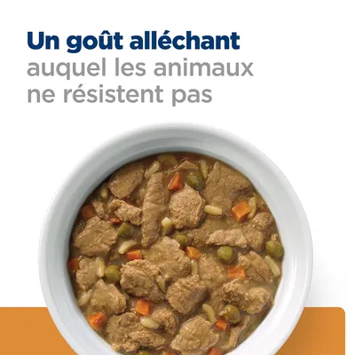 Un goût alléchant auquel les animaux ne résistent pas. Bol de nourriture humide avec morceaux de viande, carottes et petits pois visibles.