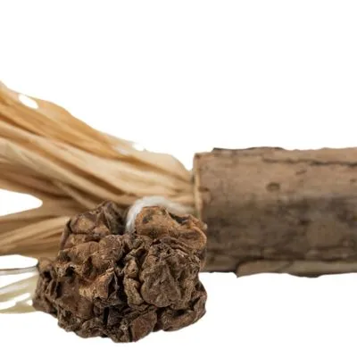 Hondenkauwsnack van natuurlijke materialen, met gedroogde wortel en samengebonden vezels. Geen merknaam of tekst zichtbaar.