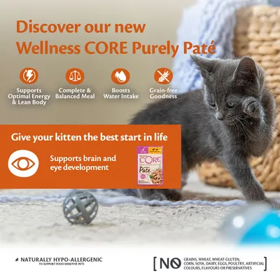 Wellness CORE Purely Paté features: supports energy, balanced meal, boosts water intake, grain-free, hypo-allergenic, no grains or artificial additives, supports brain and eye development.
