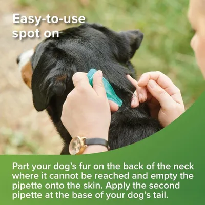 Instructions showing how to apply spot-on treatment: part the fur on the back of the neck, empty pipette onto skin, and apply second pipette at base of tail.