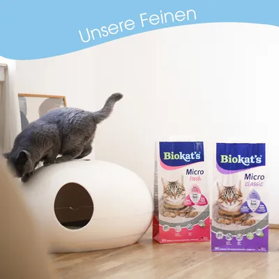 Biokat's Micro fresh und Micro classic Katzenstreu, Verpackungen mit Katzenmotiv. Katze auf weißer Katzentoilette im Hintergrund. Text: Unsere Feinen.
