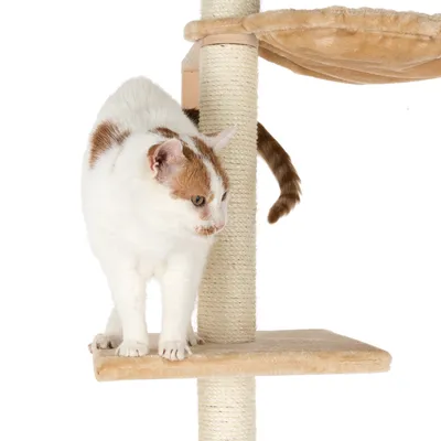 Cat tree with sisal post and two padded resting areas, shown by a white and brown cat.