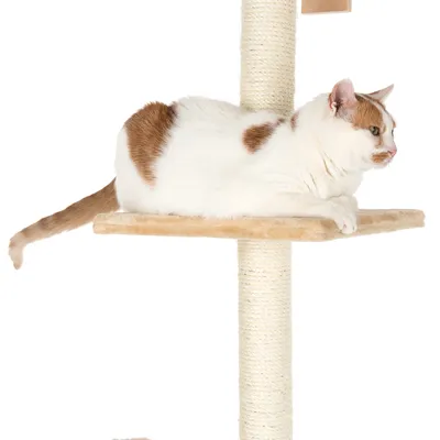 Cat tree with sisal post and lying surface, with a white and brown cat lying on it.