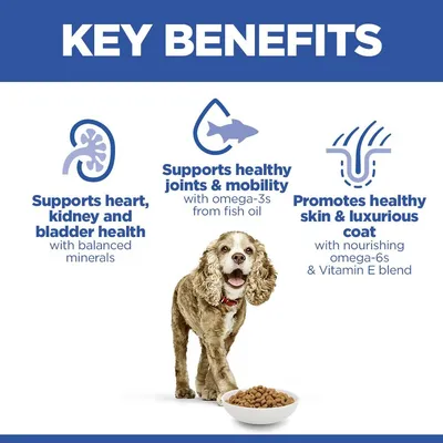 Hill's Science Plan Senior 11+ Small & Mini Chicken