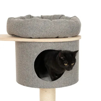 Kratzbaum mit grauem Stoffbezug, runder Höhle und gepolsterter Liegefläche oben. Schwarze Katze schaut aus der Höhle heraus.