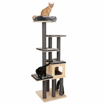 Kratzbaum mit mehreren Ebenen, Sisalstämmen und gepolsterten Liegeflächen. Eine orangefarbene Katze oben und eine schwarze Katze auf mittlerer Ebene sichtbar.