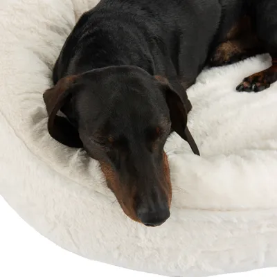 Chien noir et feu allongé sur un grand coussin ou panier rond en tissu blanc à poils longs, surface douce visible.