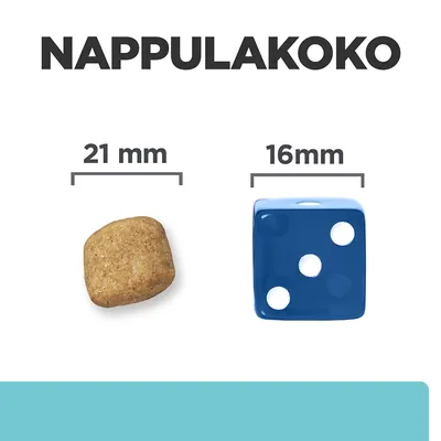 Nappulakoko: nappula 21 mm, vertailun vuoksi sininen noppa 16 mm. Teksti 'NAPPULAKOKO' ylhäällä.