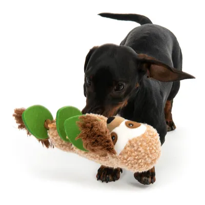 Hund spielt mit Plüschspielzeug in Form eines braunen Tieres mit grünen Blättern. Spielzeug aus weichem Material, geeignet für interaktives Spielen.