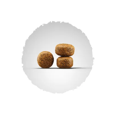 Trois croquettes rondes marron présentées sur fond blanc, montrant la forme et la taille du produit.