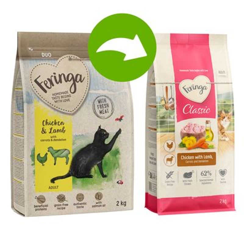 Feringa Adult Duo Kip met Lam