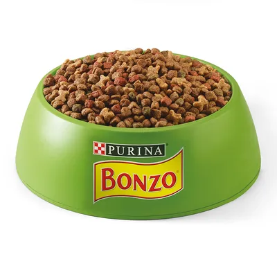 Grüner Napf mit Trockenfutter, Markenname PURINA BONZO auf dem Napf sichtbar.