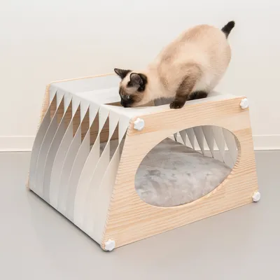 Holz-Katzenmöbel mit ovalem Eingang, weissem Stoffdesign und gepolsterter Liegefläche. Katze untersucht die obere Fläche.
