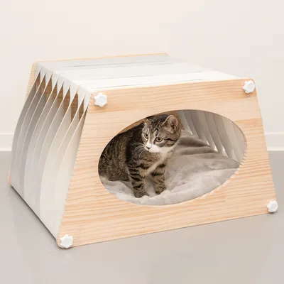 Katzenhaus aus Holz mit ovalem Eingang, weissem Stoff und weicher grauer Innenpolsterung. Katze sitzt im Inneren.